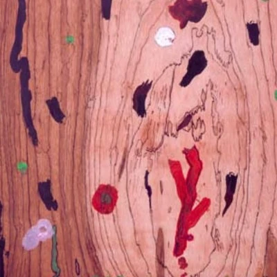 Perto do coração selvagem