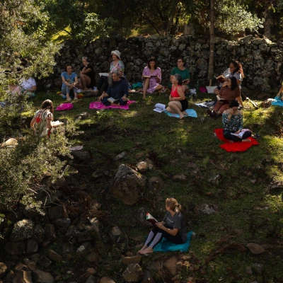 Tempo Off - Selvagens